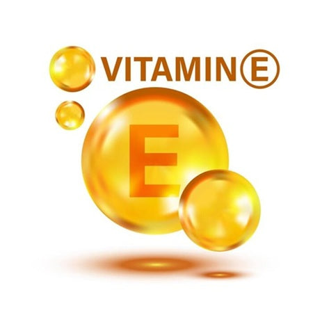 Latherly Vitamin E Oil capsule illustration, highlighting 100% Vitamin E (D-Alpha-Tocopherol) skincare product on white background.