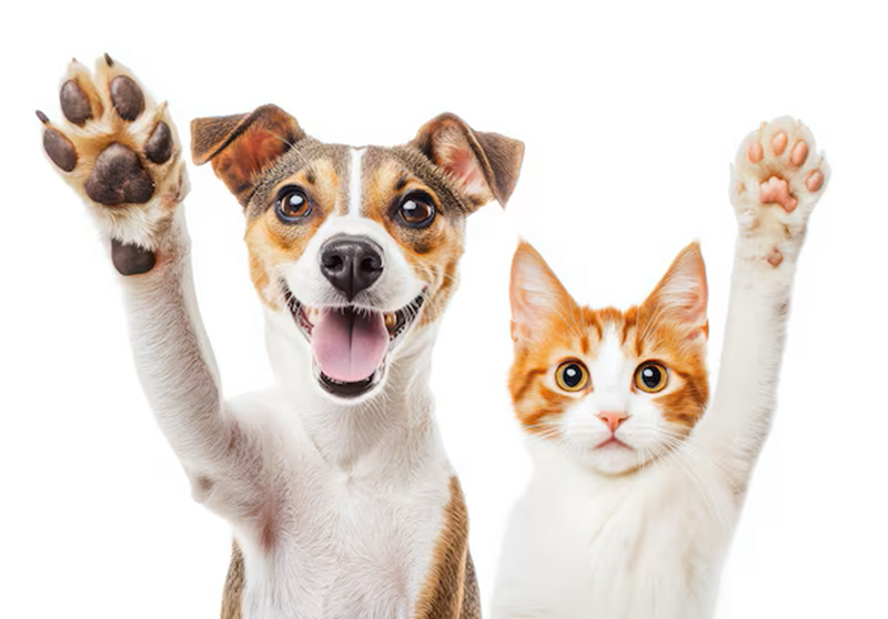 Natural Pet Balm Healing & Soothing Balm for Dogs & Cats Paw & Nose Care 65Grams